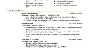 Web Developer Resume Sample Best It Web Developer Resume Example Livecareer