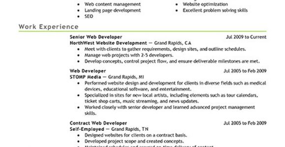 Web Developer Resume Sample Best It Web Developer Resume Example Livecareer