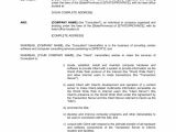 Web Service Contract Template Web Site Development and Service Agreement Template