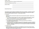 Website Support Contract Template It Support Contract Template 9 Download Documents In