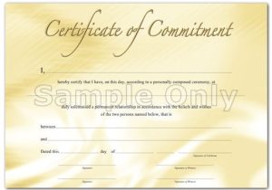 Wedding Ceremony Certificate Template 9 Best souvenir Wedding Commitment Certificates Images On