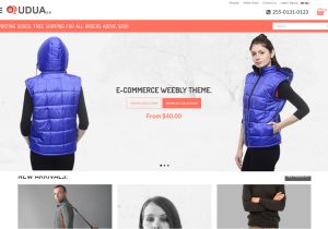 Weebly Ecommerce Templates 6 Free Weebly Templates to Download Roomy themes