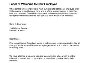 Welcome On Board Email Template 1000 Ideas About Welcome New Employee On Pinterest
