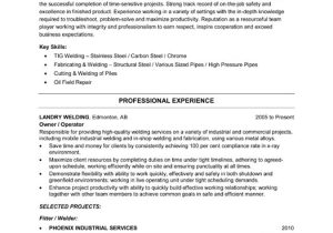 Welder Fresher Resume format Welding Professional Resume Template Premium Resume