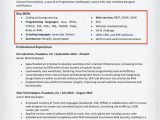 What Basic Elements Should Be Included On A Resume 20 Skills for Resumes Examples Included Resume Companion