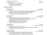 What Basic Elements Should Be Included On A Resume Resume Wikipedia