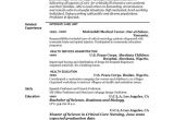 What Basic Elements Should Be Included On A Resume the Elements Of A Professional and Accurate Resume Resume Cv