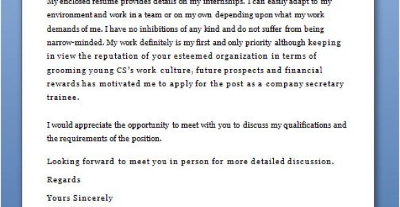 What Do U Write In A Cover Letter What to Write In Cover Letter