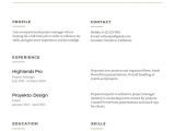 What Does A Basic Resume Look Like 10 High School Academic Resume Examples Invoice Templatez