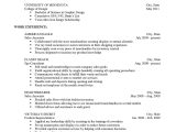 What Does A Basic Resume Look Like Resume Wikipedia