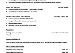 What Does A Basic Resume Look Like What Should A Resume Look Like