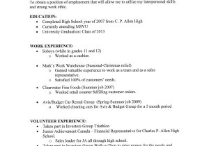 What Does A Professional Resume Look Like 15 How to Put Cleaning On A Resume Robbiesavage8 Com