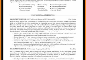 What Does A Professional Resume Look Like 7 Sales Professional Resumes Writing A Memo