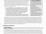 What Does A Professional Resume Look Like Operational Excellence Vision Statement Examples