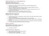 What is A Basic Resume Expert Preferred Resume Templates Resume Genius