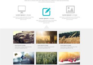 What is A Psd Template Free Business Web Template Psd Css Author