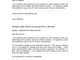 What is A Short Application Cover Letter Short Application Cover Letter Resume Badak