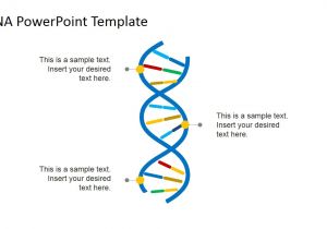 What is A Template In Dna Dna Strands Powerpoint Template Slidemodel