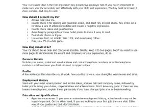 What Should A Basic Resume Contain 12 13 How to Do References for A Resume