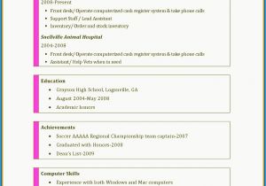What Should A Basic Resume Include 11 12 Skills On A Resume Examples Lascazuelasphilly Com