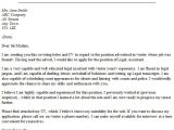 What Should I Name My Cover Letter What Should I Name My Cover Letter Free Template Design