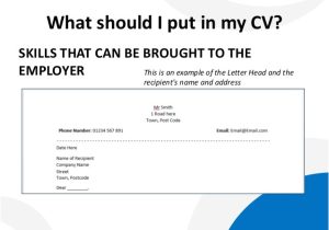 What Should I Put In My Cover Letter How to Write A Cover Letter