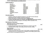What to Put On A Basic Resume 7 Resume Basic Computer Skills Examples Sample Resumes
