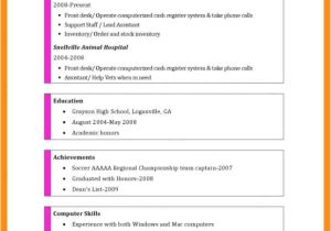 What to Put On A Basic Resume Computer Skills Resume Example Memo Example
