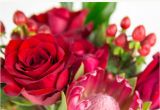 What to Put On Valentines Flower Card 15 Beautiful Quotes About Flowers A 75 Teleflora Com Gift