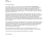 What to Say On A Cover Letter Things to Say In A Cover Letter for A Job Letters Font