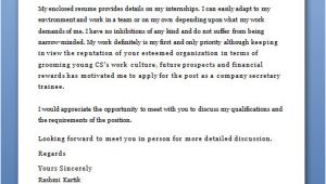 What to Write In A Covering Letter What to Write In Cover Letter