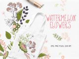 What to Write On A Card Flowers Watermelon Flowers Watermelon Flower Floral Illustrations