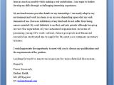 What to Write On A Covering Letter What to Write In Cover Letter