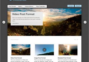 What WordPress Template is This Debut theme WordPress themes for Blogs at WordPress Com