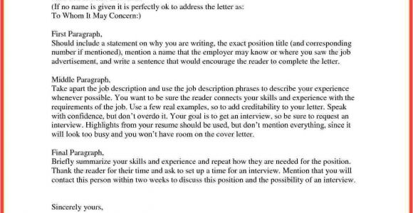 Who to Address A Cover Letter to with No Name How to Start A Cover Letter Memo Example