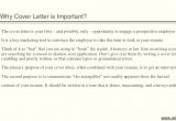 Why are Cover Letters Important Importance Of Cover Letter