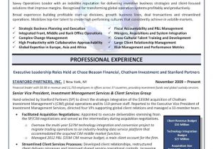Why Do Recruiters Want Your Resume In Word format the top 4 Executive Resume Examples Written by A