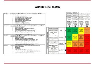 Wildlife Management Plan Template Wildlife Awareness Guideline Energy Safety Canada