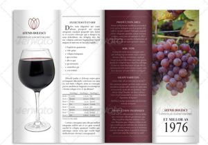 Wine Brochure Template Free 10 Bar and Lounge Brochure Templates