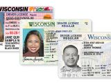 Wisconsin Drivers License Template Wisconsin Drivers License Template Sample New York State