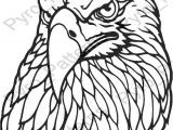 Wood Burning Templates Free Download Pyrography Wood Burning Eagle Head Bird Pattern Printable