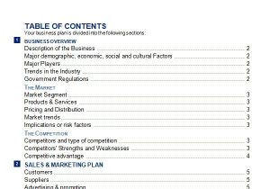 Word Business Plan Template 30 Sample Business Plans and Templates Sample Templates