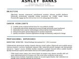 Word Document Resume Template Free Resume Templates Word Doc All About Letter Examples