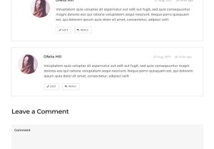 WordPress Comments Template Design WordPress Comments Comment form Wp Comment