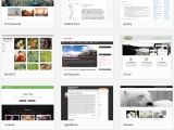 WordPress Subcategory Template WordPress Vs Wix which Platform is Best for You