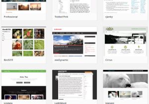 WordPress Subcategory Template WordPress Vs Wix which Platform is Best for You