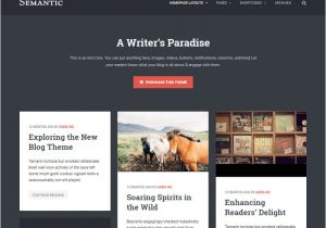 WordPress Templates for Authors 25 Best WordPress themes for Writers Authors 2017