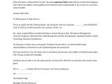 Work Experience Email Template Job Experience Letter format
