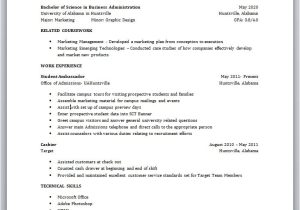 Work Experience In Resume Samples No Job Experience Required No Experience Resume Sample