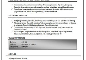 Work Experience In Resume Samples Over 10000 Cv and Resume Samples with Free Download